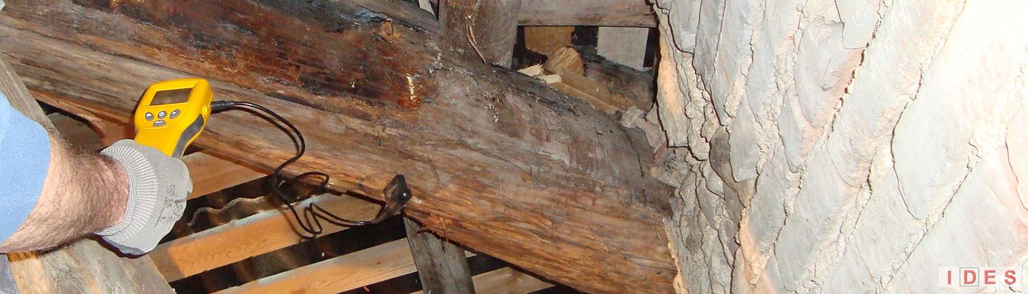 prove igrometriche legno